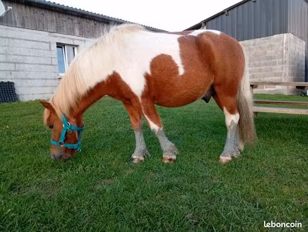 recherche 2 à 3 hectares