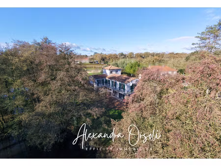 maison 9 pièces - 264 m²