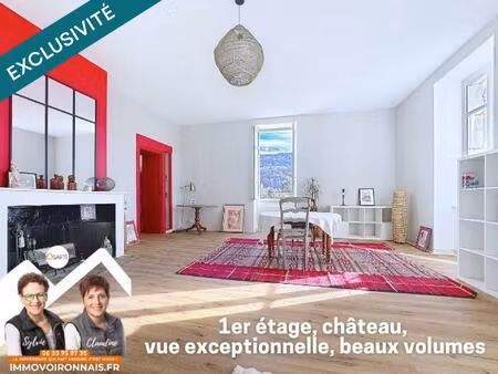rare : appartement de charme dans ancien château avec parc arboré  vue sur la sûre !