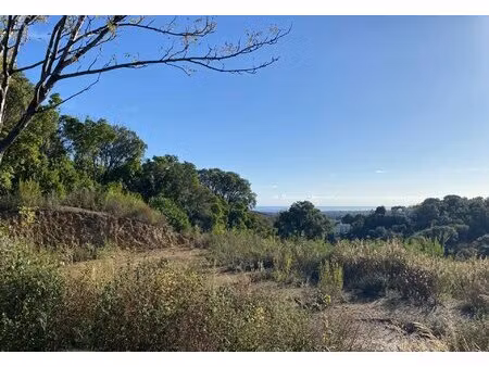 terrain constructible - quartier folelli - corse