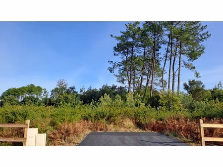 achat terrain 1 111m² moliets et maa 40660