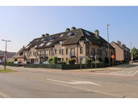 appartement te koop in maasmechelen met 1 slaapkamer