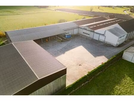 landbouwgrond te koop in lo-reninge