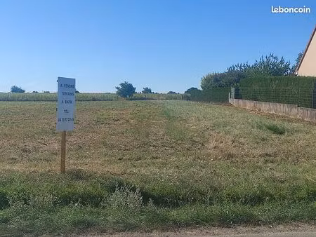 terrain constructible