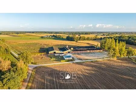 hoeve te koop in weelde