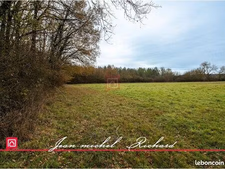 terrain 24 590 m² billy