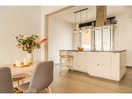 instapklare woning te steendorp