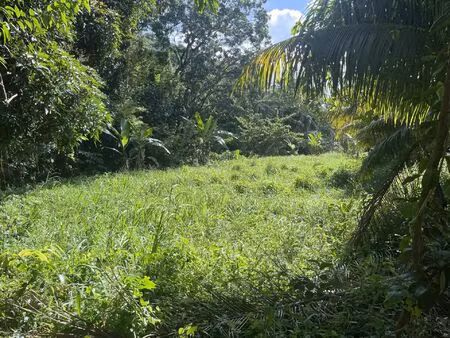 vente terrain 1327 m2 à rivière-salée