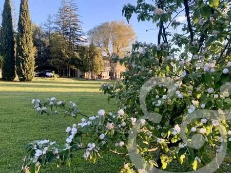 maison de luxe à vendre à raphele-les-arles : 990 000€ | 180m²