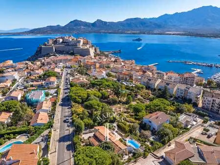 terrain avec vue sur mer à vendre à calvi : 2 000 000 € | 3852m²