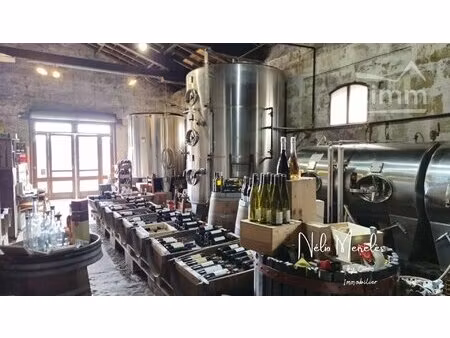 cave a vin authentique proche de gradignan 33