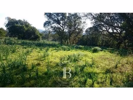 terrain constructible  lecci de porto vecchio  permis de construire