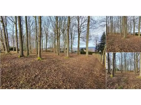 terrain à bâtir à vendre à chemin du fawetay spa (vbd57976)