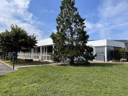 location commerce 385 m² à andrézieux-bouthéon (42160)