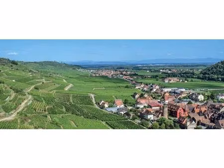 achat : appartement (68920)