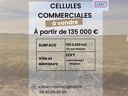 vente commerce 1 pièce 201 m² lexy (54720)