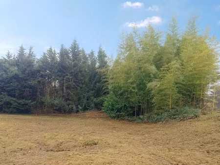 vente terrain 450 m² lentilly (69210)