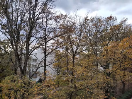 vente appartement 4 pièces 76.3 m² à saint-michel-sur-orge (91240)  149 000 €