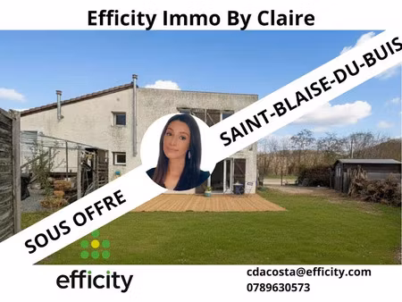 vente appartement 3 pièces 70 m² à saint-blaise-du-buis (38140)  155 000 €