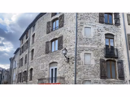 vente appartement 400 m² à saint-ambroix (30500)  226 000 €