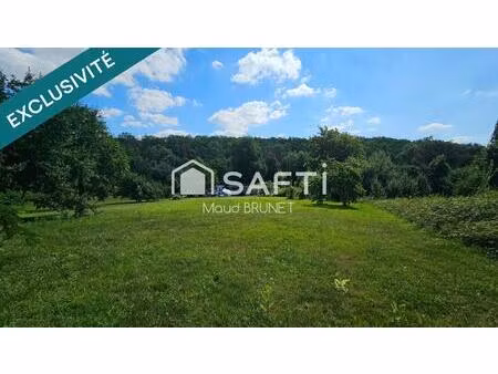 vente terrain 10000 m² boissy-mauvoisin (78200)