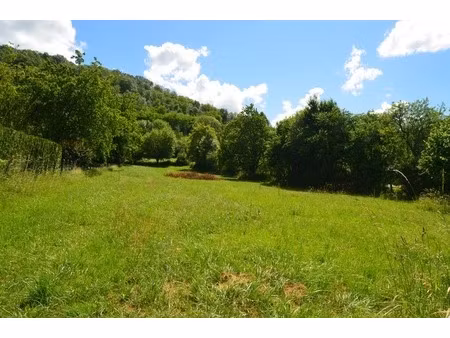 terrain à vendre digna (39)