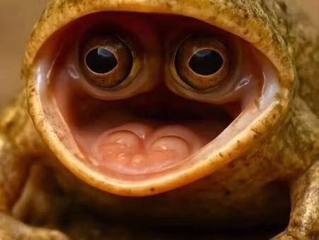 jeune fermier cherche habitation