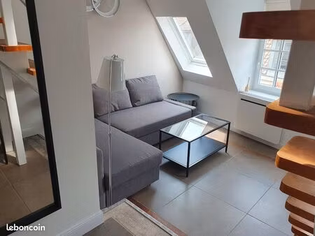 très beau duplex hyper lumineux vieux-lille