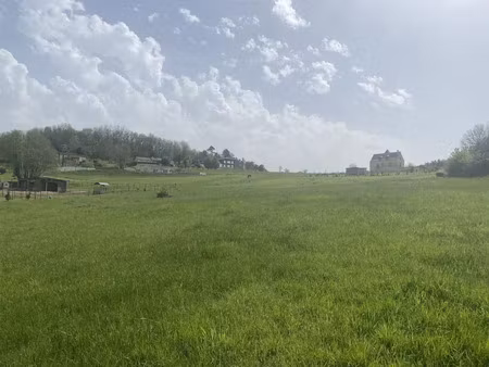 vente terrain 3299 m² à castels (24220)  71 918 €