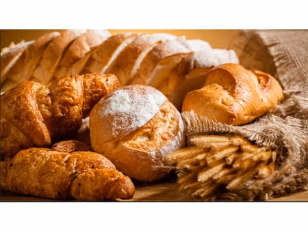 ? devenez artisan de votre vie à vence !