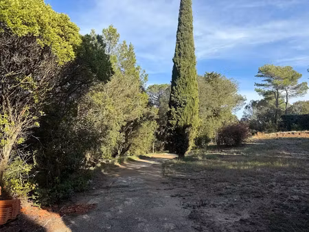 vente terrain 1500 m² à carcassonne (11000)  123 000 €