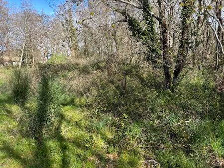 vente terrain 506 m² à lanton (33138)  197 000 €