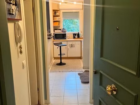 appartement de 31 m² avec balcon