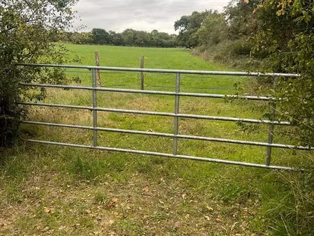 a louer 4 hectares avec hangar et eau