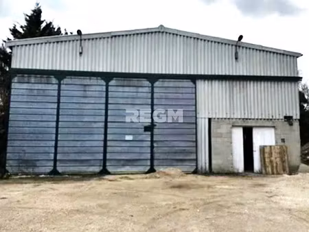 vente locaux professionnels 1 pièce 265 m² à bréviandes (10450)  83 000 €