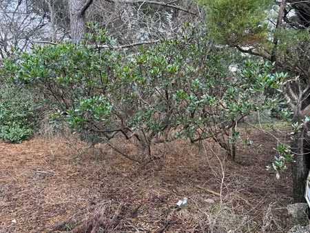 vente terrain 750 m² à lacanau (33680)  410 000 €