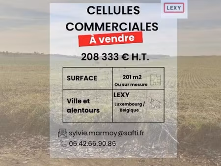 vente locaux professionnels 1 pièce 201 m² à lexy (54720)  208 333 €