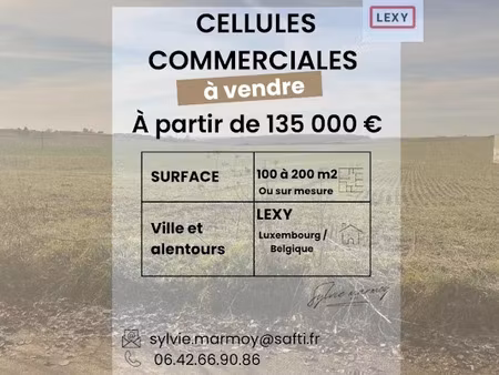vente locaux professionnels 201 m² à lexy (54720)  208 333 €