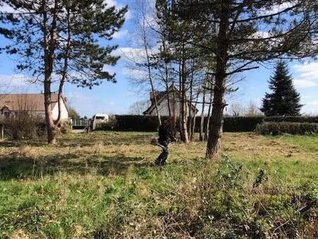 terrain à bois-guilbert 76750