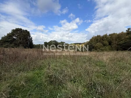 terrain agricole à vendre à moreac 2 4 hectares de pâture