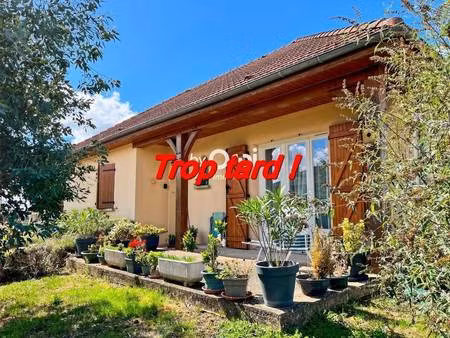 orpi allin immobilier