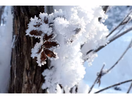 chamonix a vendre local commercial