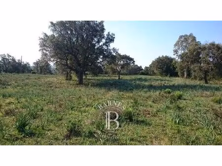 terrain de 2092 m2 en vente - porto-vecchio  corse