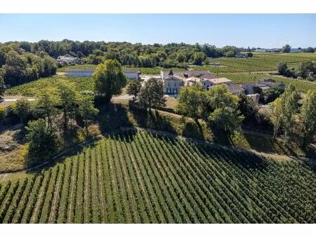 vente château bordeaux 10 pièces 2000 m² <meta name="description" content="propriété vitic