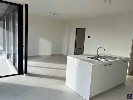 appartement te huur in haasdonk met 2 slaapkamers