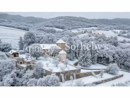 château à vendre à apremont : 2 080 000 € | 400m²