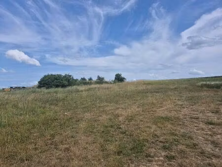 achat terrain 1 500m² la chapelle st martin en plaine 41500