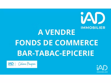 vente commerce 114 m² plesder (35720)