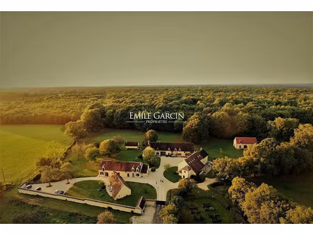 vente propriété 30 pièces 2500 m² à mézilles (89130)  1 590 000 €