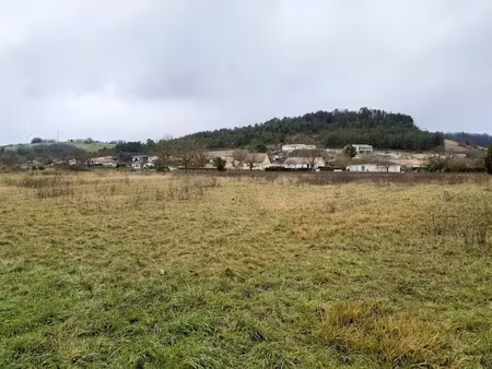 vente terrain 1500 m² à grignols (24110)  25 000 €